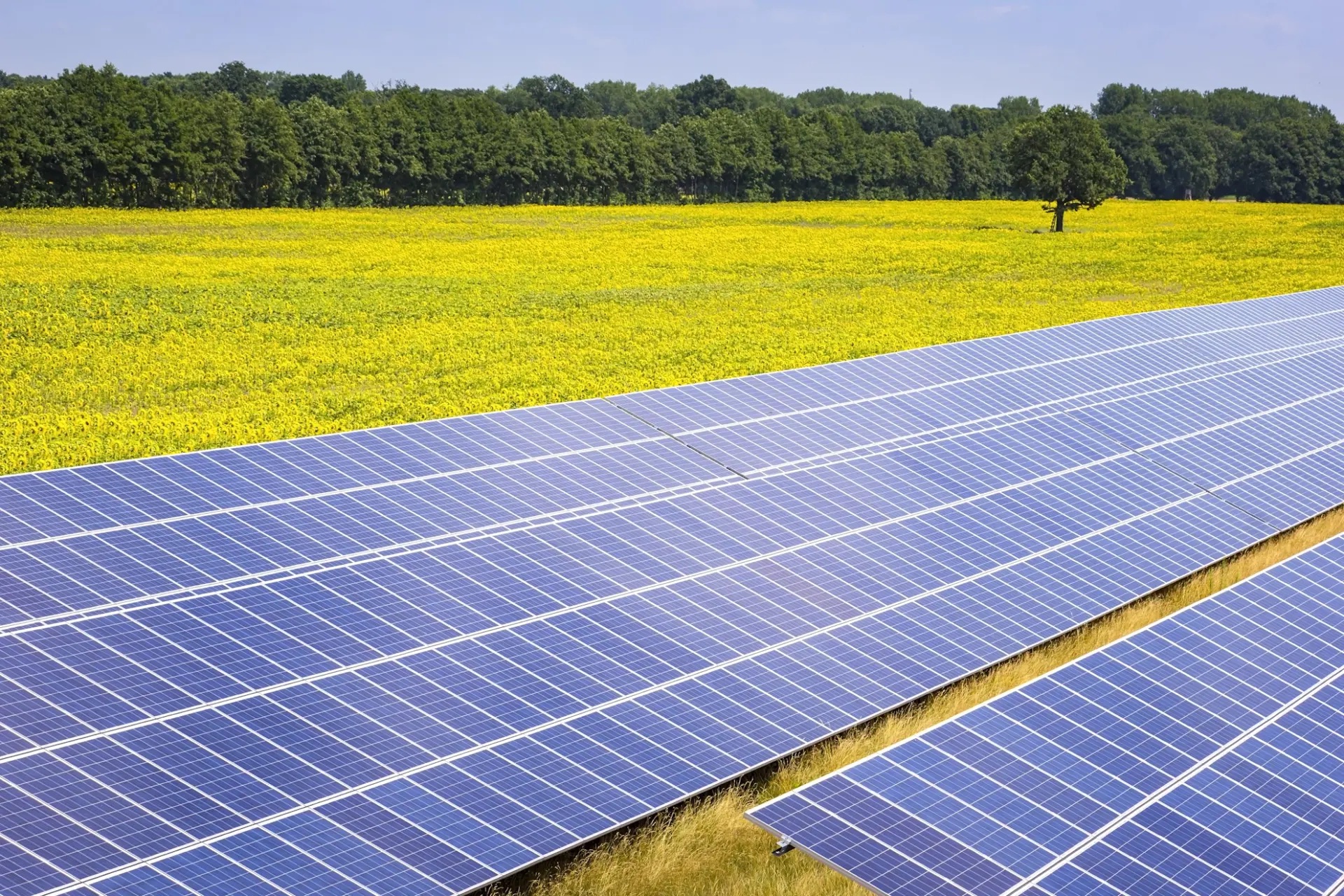 Windräder und Solaranlage in Brandenburg.