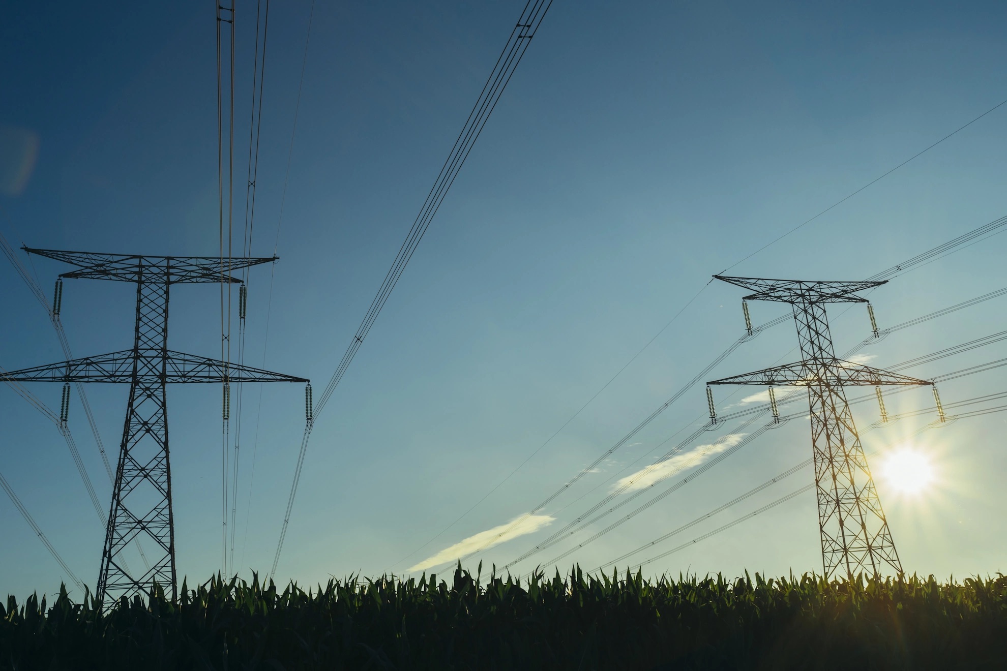Energietransport durch Strommasten und Hochspannungsleitungen über einem Feld bei tief stehender Sonne.